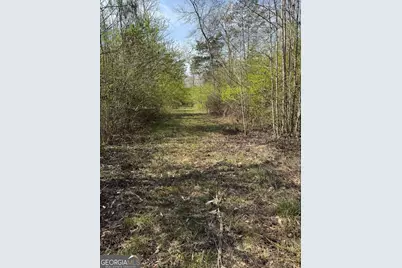 738 Old Mineral Springs Road, Elberton, GA 30635 - Photo 28