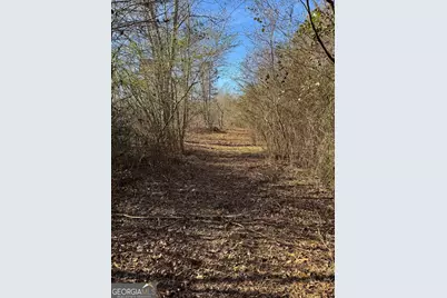 738 Old Mineral Springs Road, Elberton, GA 30635 - Photo 14