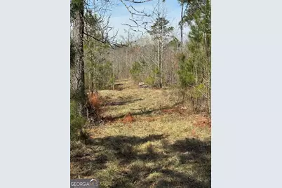 738 Old Mineral Springs Road, Elberton, GA 30635 - Photo 26