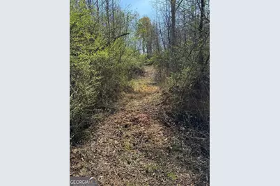 738 Old Mineral Springs Road, Elberton, GA 30635 - Photo 30