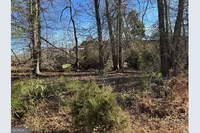 738 Old Mineral Springs Road, Elberton, GA 30635 - Photo 10