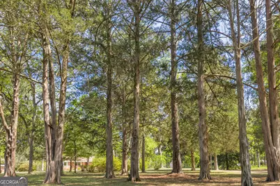 242 Lake Joy Road, Perry, GA 31069 - Photo 58