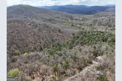 Lt 117 Laurel Trace, Blue Ridge, GA 30513 - Photo 10