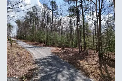 Lt 117 Laurel Trace, Blue Ridge, GA 30513 - Photo 6