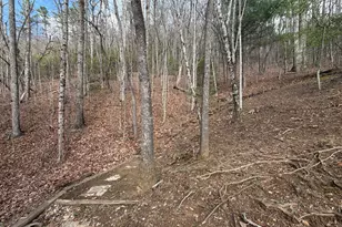 42 Gobbler Ln, Clayton, GA 30525 - Photo 14