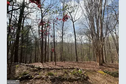 42 Gobbler Lane, Clayton, GA 30525 - Photo 24