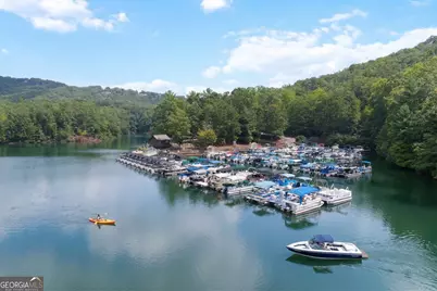 229 Teaberry Lane, Jasper, GA 30143 - Photo 36