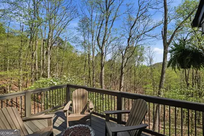 229 Teaberry Lane, Jasper, GA 30143 - Photo 22