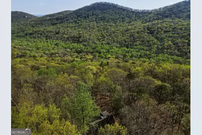 229 Teaberry Lane, Jasper, GA 30143 - Photo 32