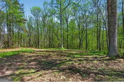 0 Grandview Road, Jasper, GA 30143 - Photo 10