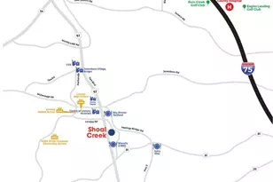 11939 Aukerman Wy, Hampton, GA 30228 - Photo 8