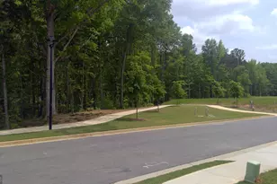 11939 Aukerman Wy, Hampton, GA 30228 - Photo 32