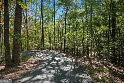 226 Wild Azalea Circle, Jasper, GA 30143 - Photo 2