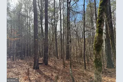 4.51 Acres Whatley Road N, Lagrange, GA 30240 - Photo 18