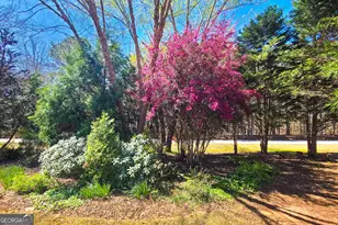 120 Shilling Way, Newnan, GA 30263 - Photo 60