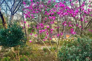 120 Shilling Way, Newnan, GA 30263 - Photo 84