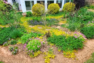 120 Shilling Way, Newnan, GA 30263 - Photo 76