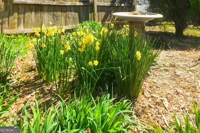 120 Shilling Way, Newnan, GA 30263 - Photo 68