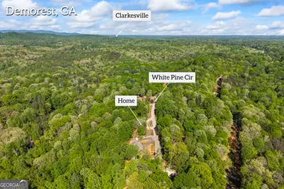 580 White Pine Circle, Demorest, GA 30535 - Photo 58