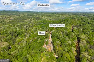 580 White Pine Cir, Demorest, GA 30535 - Photo 58