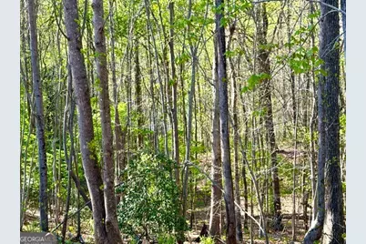 580 White Pine Circle, Demorest, GA 30535 - Photo 46