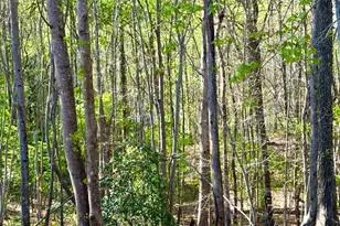 580 White Pine Cir, Demorest, GA 30535 - Photo 46