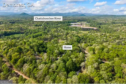 580 White Pine Circle, Demorest, GA 30535 - Photo 50