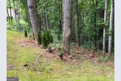 580 White Pine Circle, Demorest, GA 30535 - Photo 66
