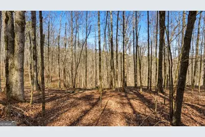 0 Hubbardsville Circle, Dawsonville, GA 30534 - Photo 34