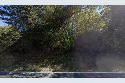 9405 Highway 53 E, Marble Hill, GA 30148 - Photo 2