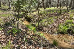 158 Spring Run Drive, Blue Ridge, GA 30513 - Photo 4