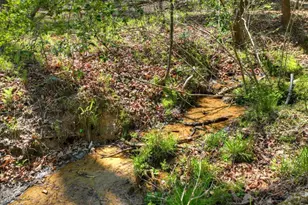 158 Spring Run Drive, Blue Ridge, GA 30513 - Photo 48