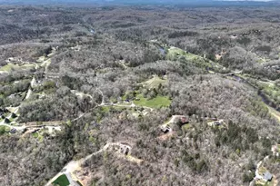 158 Spring Run Drive, Blue Ridge, GA 30513 - Photo 54