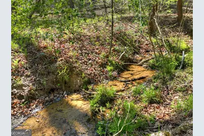 158 Spring Run Drive, Blue Ridge, GA 30513 - Photo 46