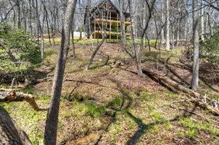 158 Spring Run Drive, Blue Ridge, GA 30513 - Photo 52