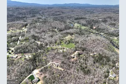 158 Spring Run Drive, Blue Ridge, GA 30513 - Photo 52