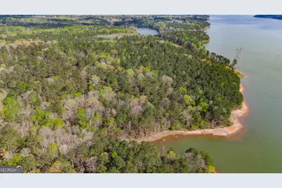 0 Hunter Road, Locust Grove, GA 30248 - Photo 12