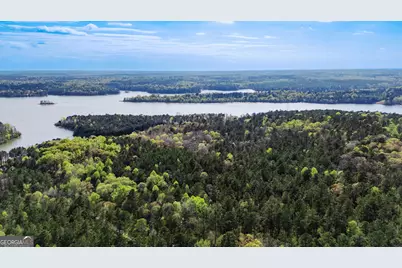 0 Hunter Road, Locust Grove, GA 30248 - Photo 6