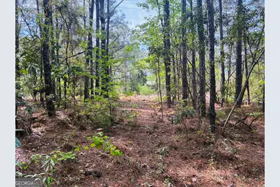 0 Whitesville/ Burkes Chapel Road, Lagrange, GA 30241 - Photo 6