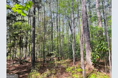 0 Whitesville/ Burkes Chapel Road, Lagrange, GA 30241 - Photo 4
