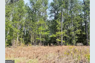 0 Whitesville/ Burkes Chapel Road, Lagrange, GA 30241 - Photo 12
