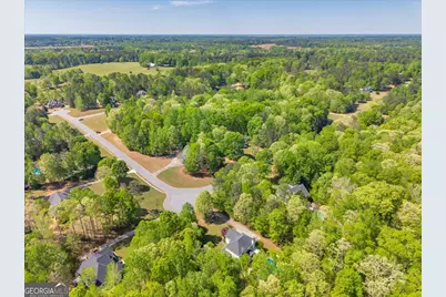 260 Kensington Drive, Sharpsburg, GA 30277 - Photo 68