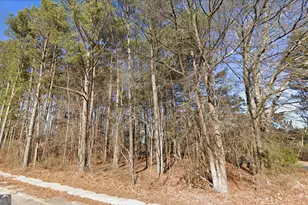 95 Acres Ventura St, Statham, GA 30666 - Photo 1
