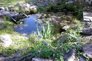 1150 Highland Dr, Sautee Nacoochee, GA 30571 - Photo 10