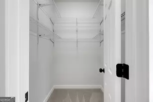 6259 Spring Lake Dr, Flowery Branch, GA 30542 - Photo 30