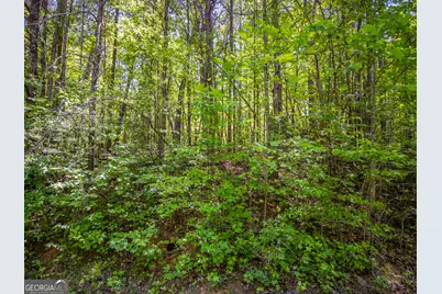1.01 Acre Oak Drive, Toccoa, GA 30577 - Photo 14