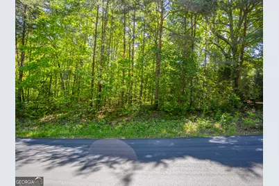 1.01 Acre Oak Drive, Toccoa, GA 30577 - Photo 12