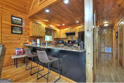 256 Bailey Farm Lane, Mineral Bluff, GA 30559 - Photo 12