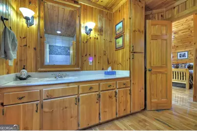 256 Bailey Farm Lane, Mineral Bluff, GA 30559 - Photo 32