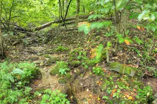 430 Chestnut Ridge, Blue Ridge, GA 30513 - Photo 32